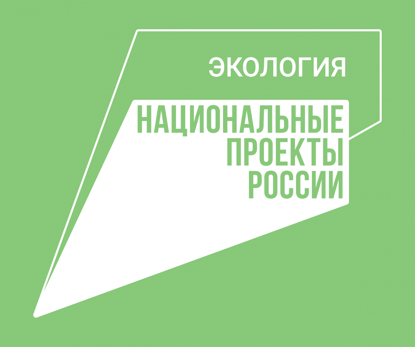 Томичи обсудили карьерные перспективы молодежи на форуме «Леса России»