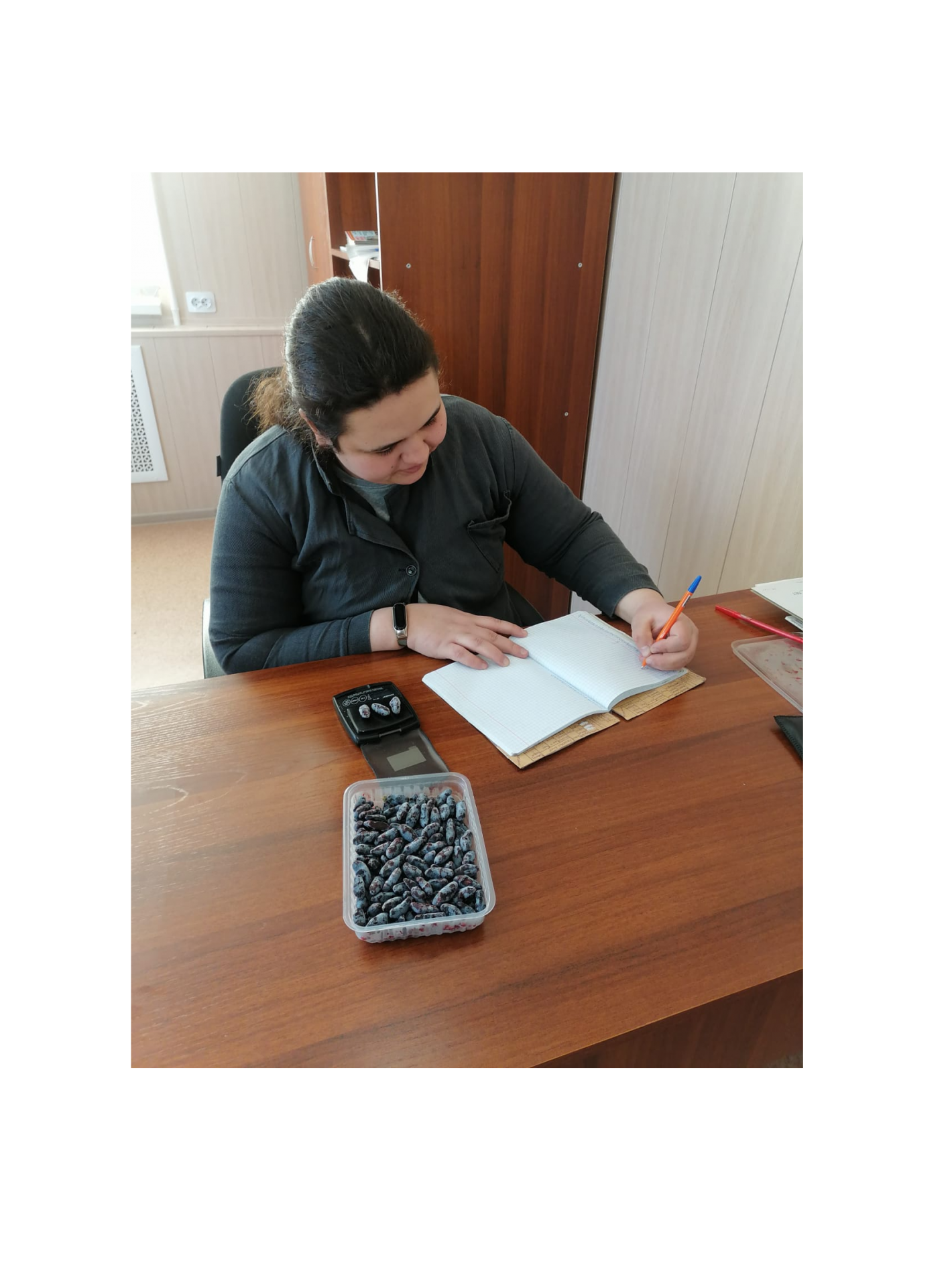 Бакчарский опорный пункт северного садоводства начал подготовку к новому сезону