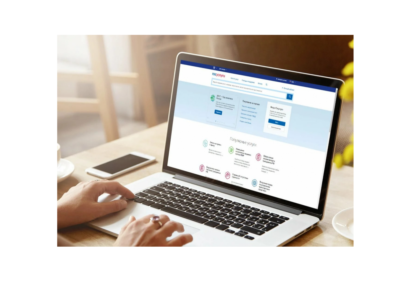 Жители Томской области более 55 тысяч раз воспользовались «лесными» государственными услугами